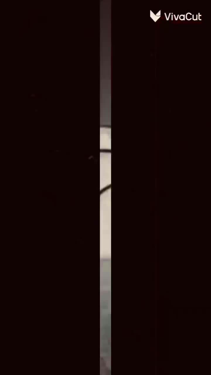 پژو پارس مدل ۸۳ عروسک|خودرو سواری و وانت|اردبیل, |دیوار