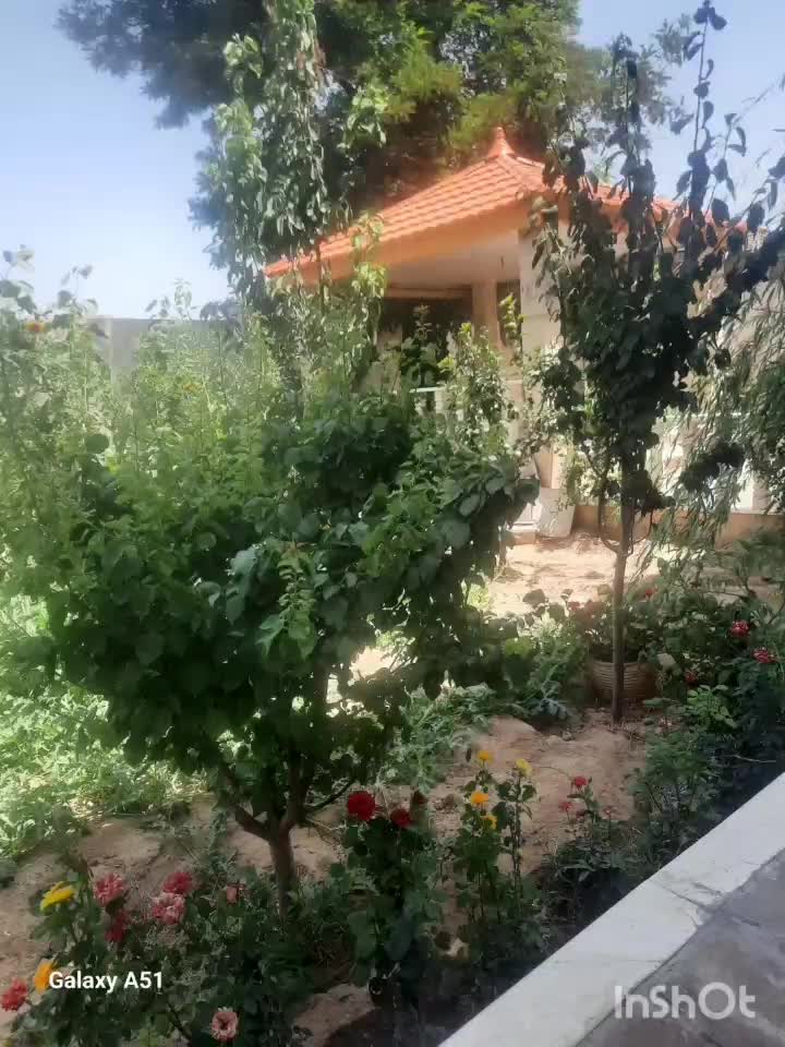 نانوایی هایپر مارکت باغ ۲ واحد آپارتمان جواز نانوا|فروش آپارتمان|مشهد, شیرودی|دیوار