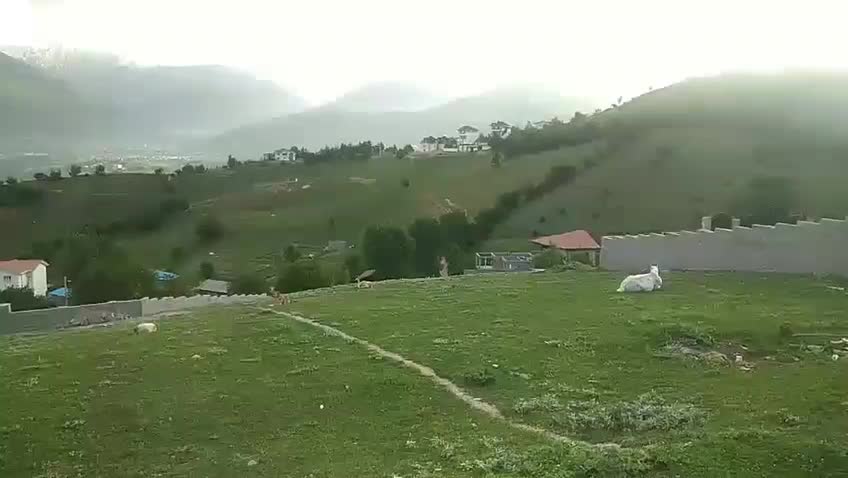 زمین ۳۶۵ با کاربری مسکونی، در منطقه رو به رشد.|فروش زمین و ملک کلنگی|کلاردشت, |دیوار
