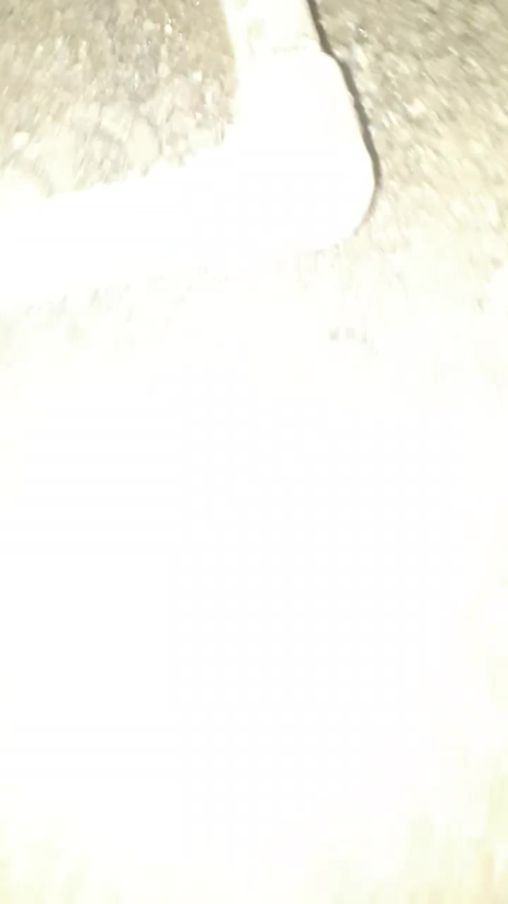 لوله بازکنی نشت یابی نشت یاب لوله کش توالت فرنگی|خدمات پیشه و مهارت|قم, پردیسان|دیوار