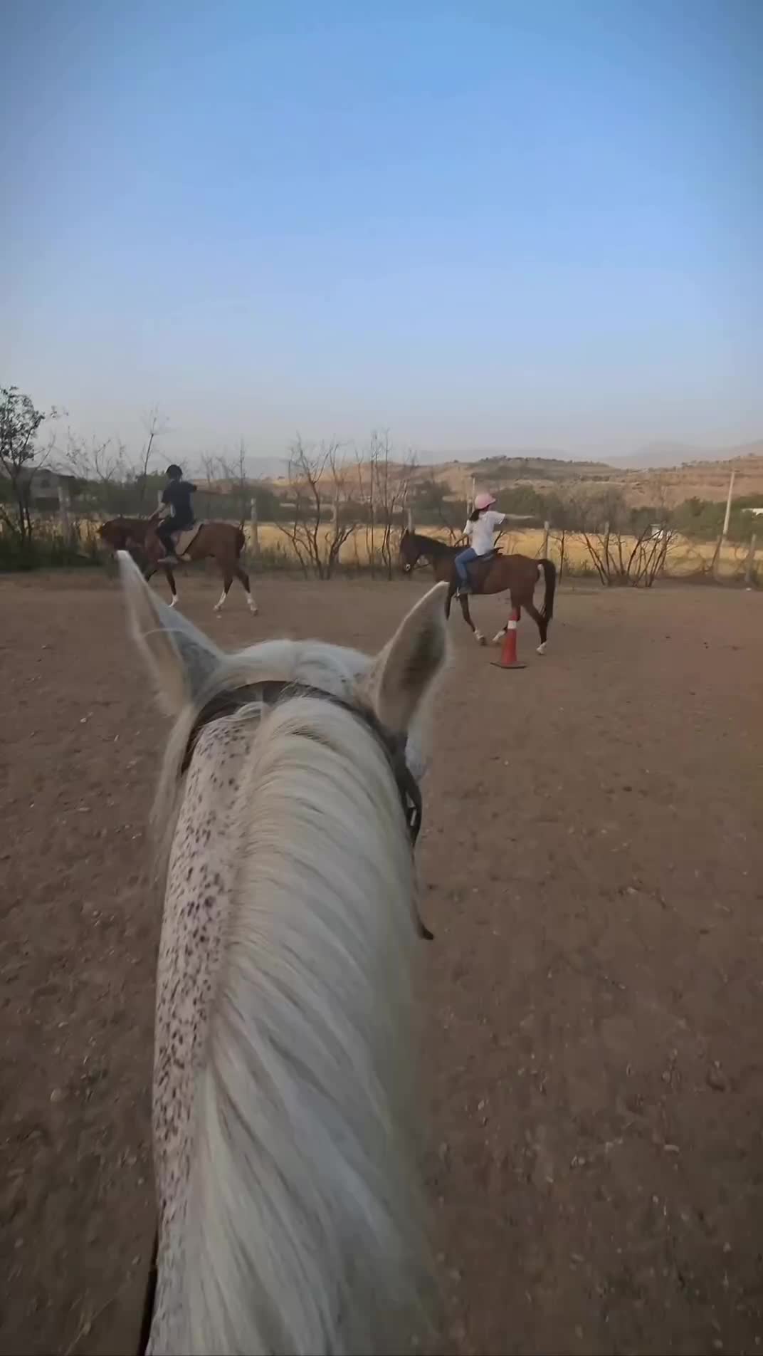 دوره آموزش سوارکاری اصولی از مبتدی تا پیشرفته|خدمات آموزشی|سنندج, |دیوار