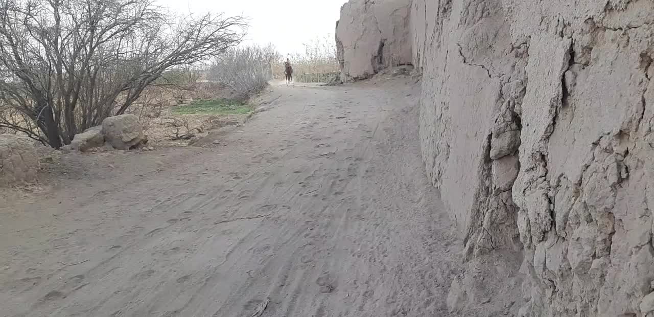 مادیان ونریان|اسب و تجهیزات اسب‌سواری|دشتابی, |دیوار