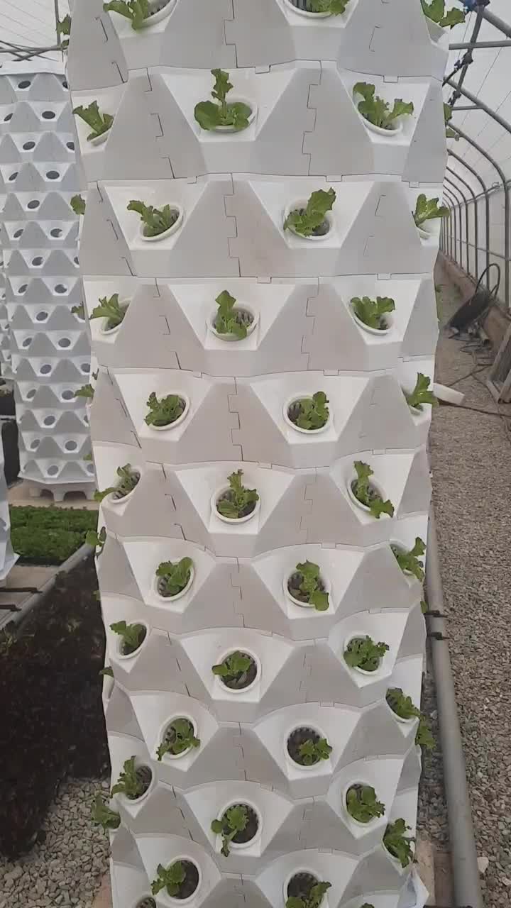 نیازمند سرمایه گذار در گلخانه هیدروپونیک مدرن|فعالیت داوطلبانه|تهران, پاسداران|دیوار