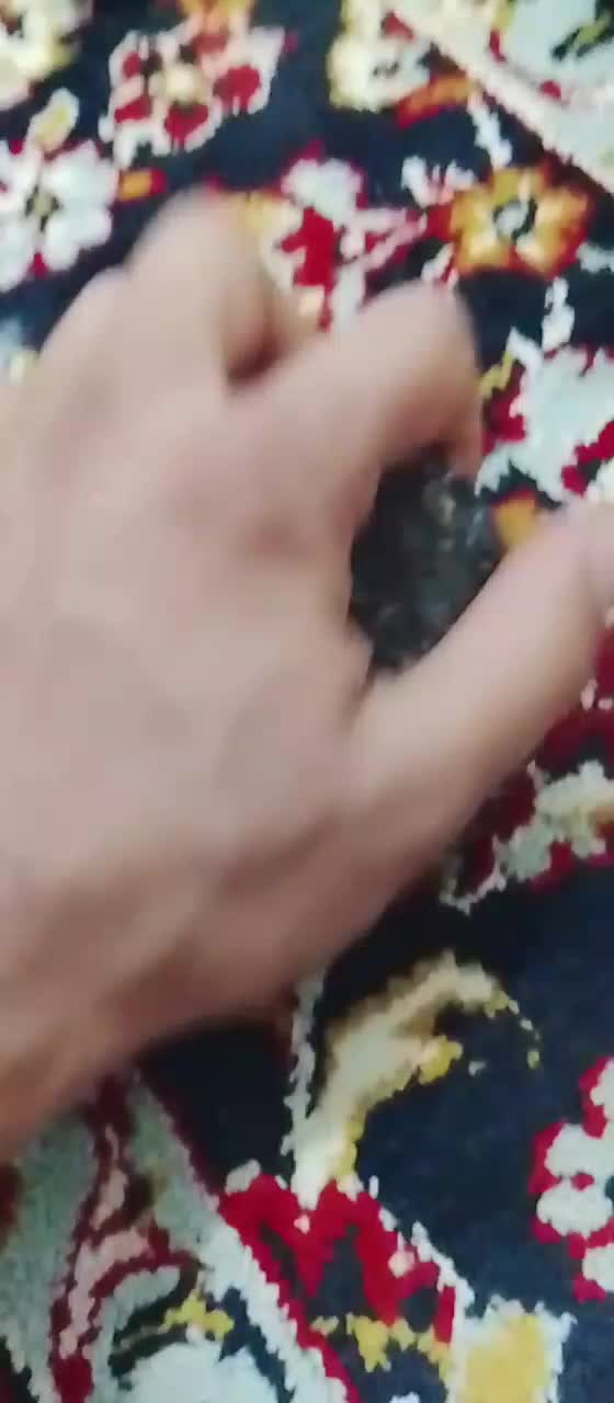 شهاب سنگ|جواهرات|کرمان, |دیوار