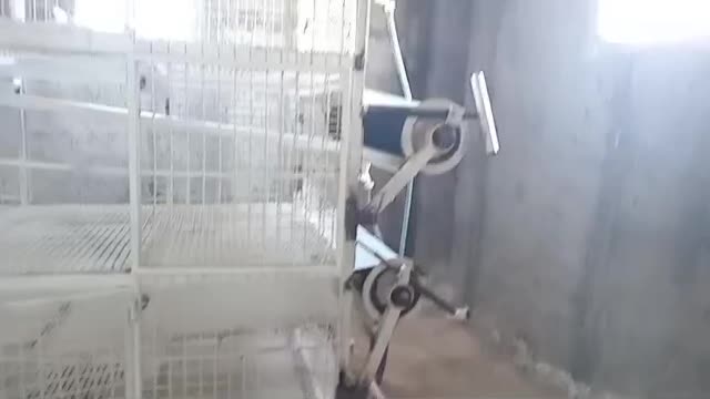 قفسه|عمده‌فروشی|سرخرود, |دیوار