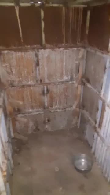 گنجه. کبوتر و حیوانات|لوازم جانبی حیوانات|مرودشت, رامجرد یک|دیوار