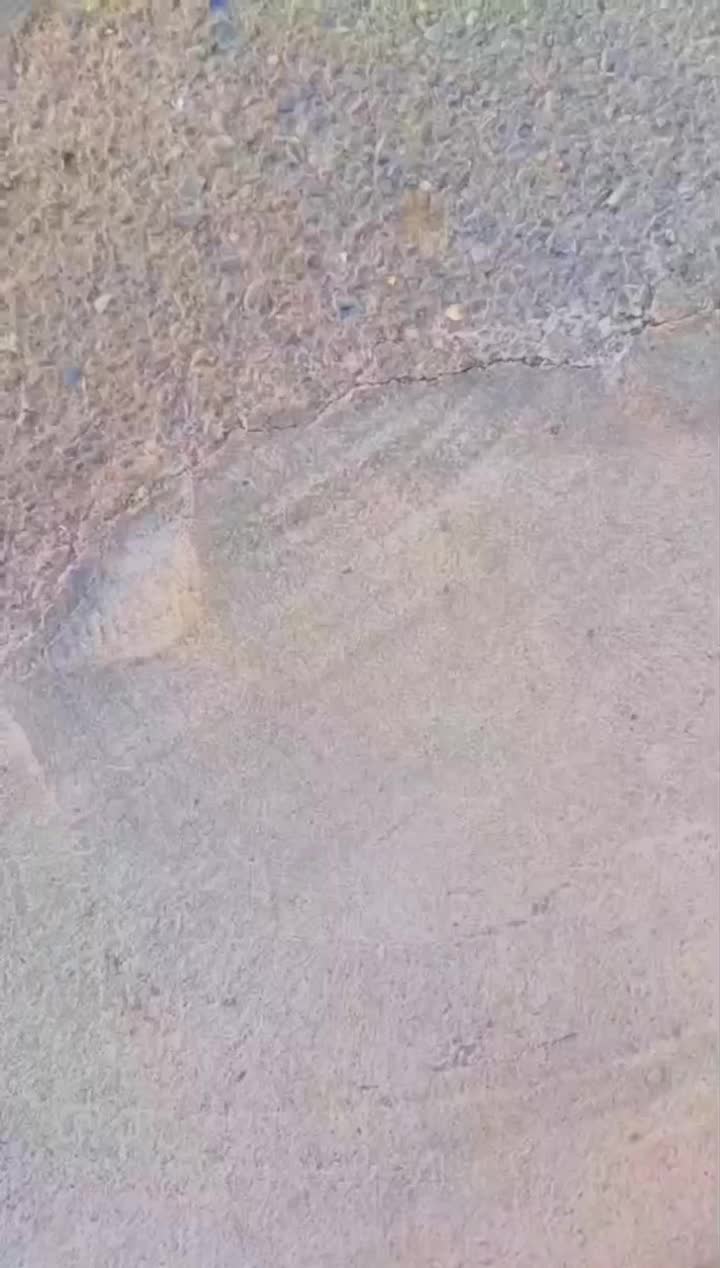 موتور سیکلت|موتورسیکلت|رفسنجان, |دیوار