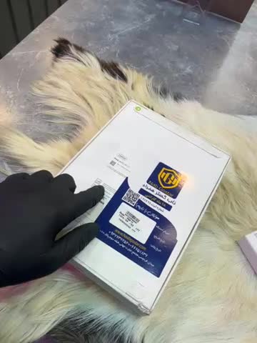 ipad A16 wifi|تبلت|تهران, فردوسی|دیوار