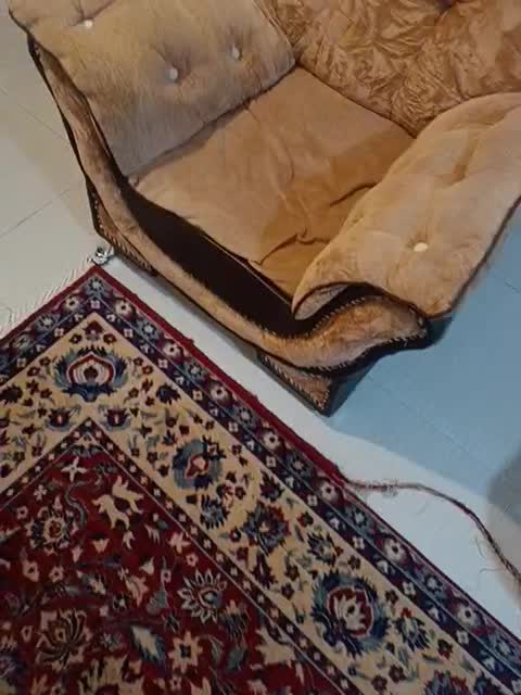 مبل راحتی|مبلمان خانگی و میز عسلی|رشت, ترمینال|دیوار