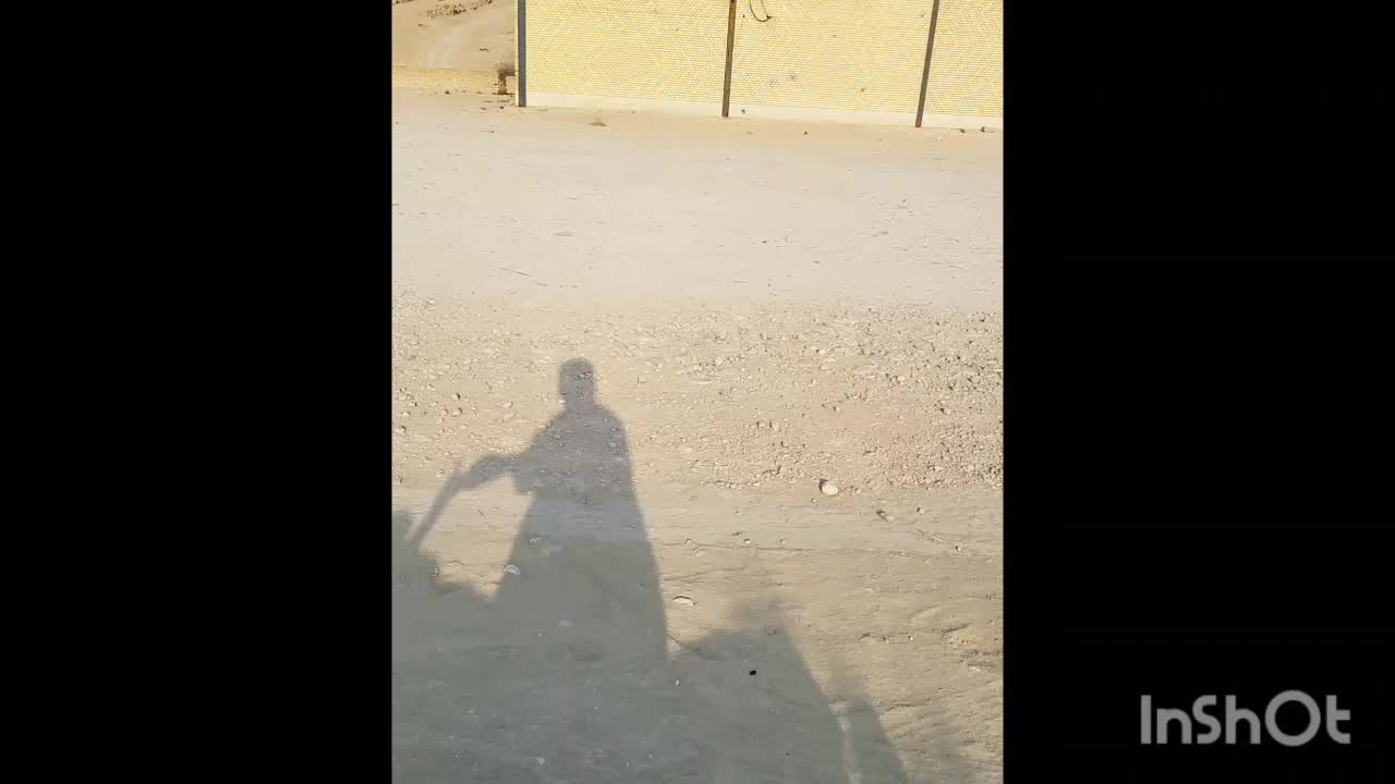شبدیز نریون ۵سال سواری عالی تعزیه ای|اسب و تجهیزات اسب‌سواری|بندرعباس, |دیوار