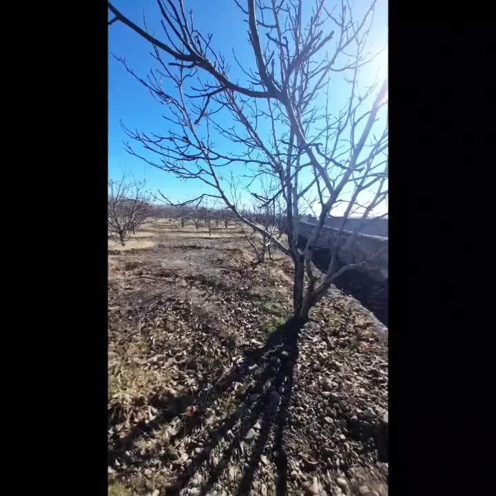 زمین باغ ویلا در بهترین لوکیشن فشند|فروش زمین و ملک کلنگی|هشتگرد, فشند|دیوار