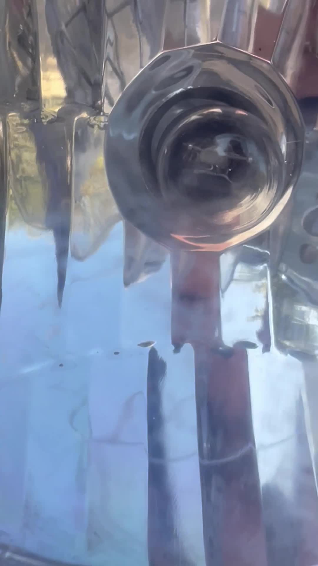 متور|موتورسیکلت|باغستان, |دیوار