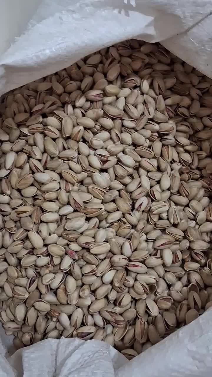 پسته اکبری امساله یزد|خوردنی و آشامیدنی|قم, شاه سید علی|دیوار