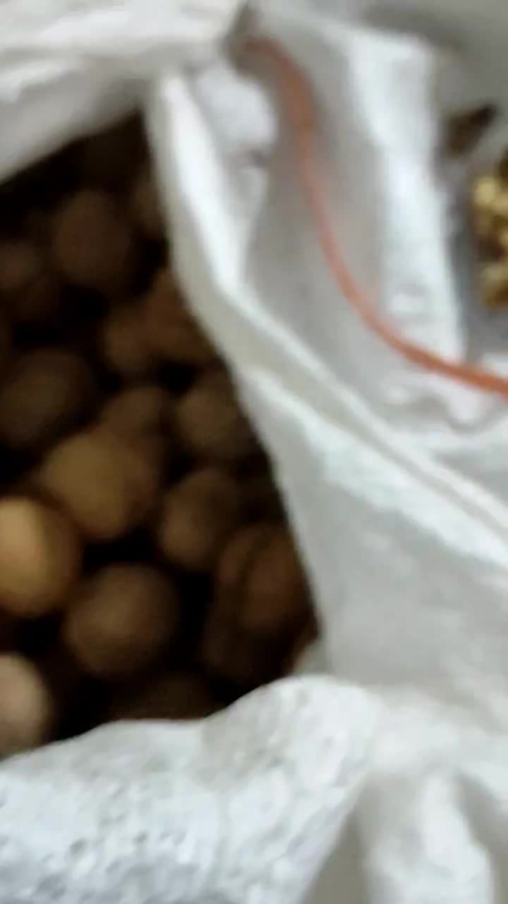 گردو درجه یک مناطق سرد سیرکوهستانی شاه جهان|حراج|تهران, خلیج فارس|دیوار