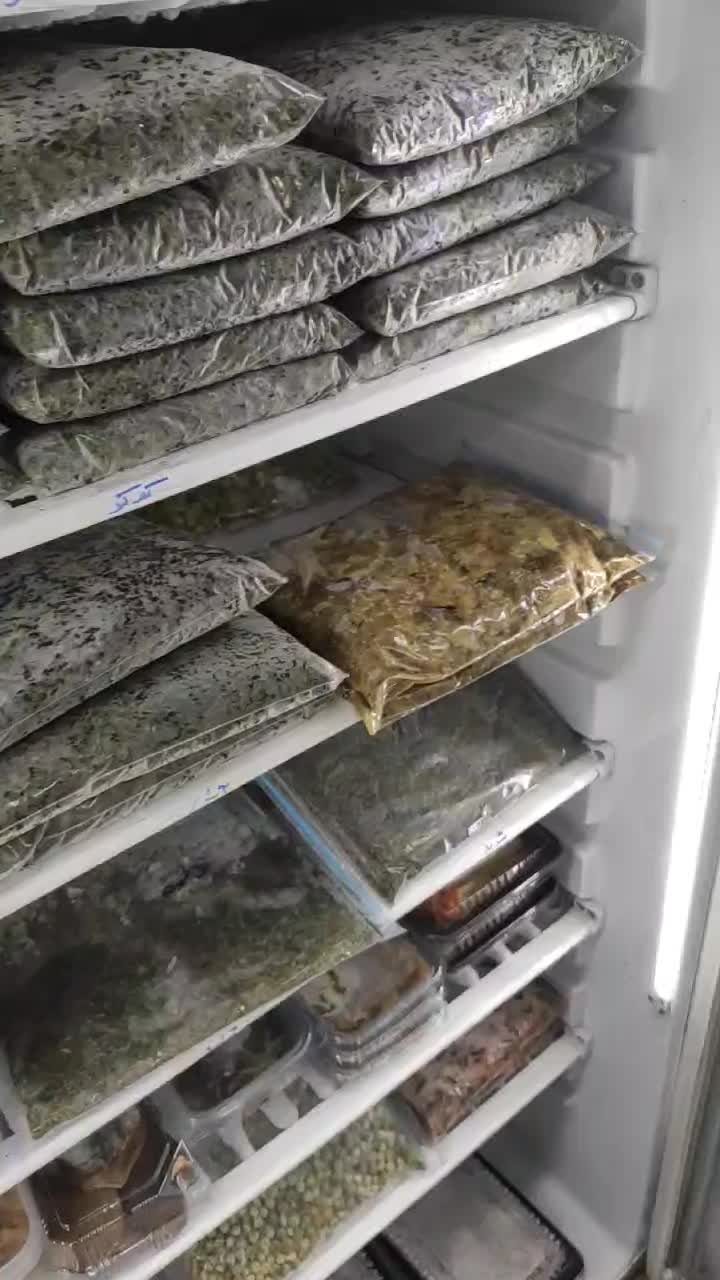 بادمجان کبابی و سرخ شده و دلمه و ابگوجه وکدو جالیز|خوردنی و آشامیدنی|نیشابور, دارایی|دیوار