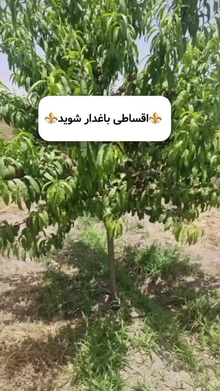 ۴معاوض با ماشین/باغچه/آب/برقدار|فروش زمین و ملک کلنگی|اصفهان, اصفهانک|دیوار