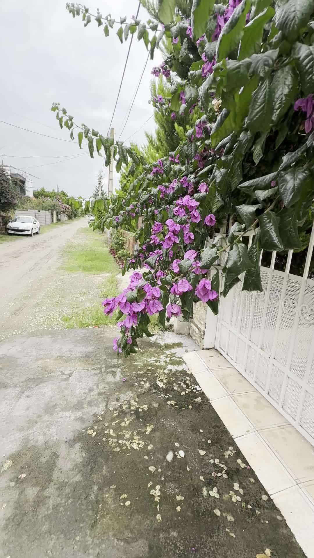 فروش ویلا شهرکی در لوکیشن عالی متل قو سند تک برگ|فروش خانه و ویلا|سلمانشهر, |دیوار