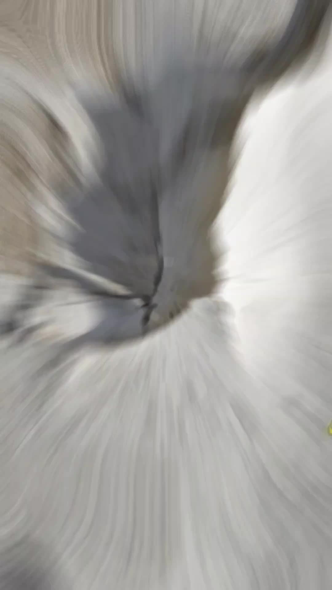 جایگزین ایزوگام. هم رنگ هم عایق|مصالح و تجهیزات ساختمان|رشت, بازار|دیوار