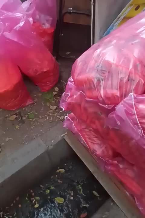 تفاله هویچ|لوازم جانبی حیوانات|مرند, |دیوار