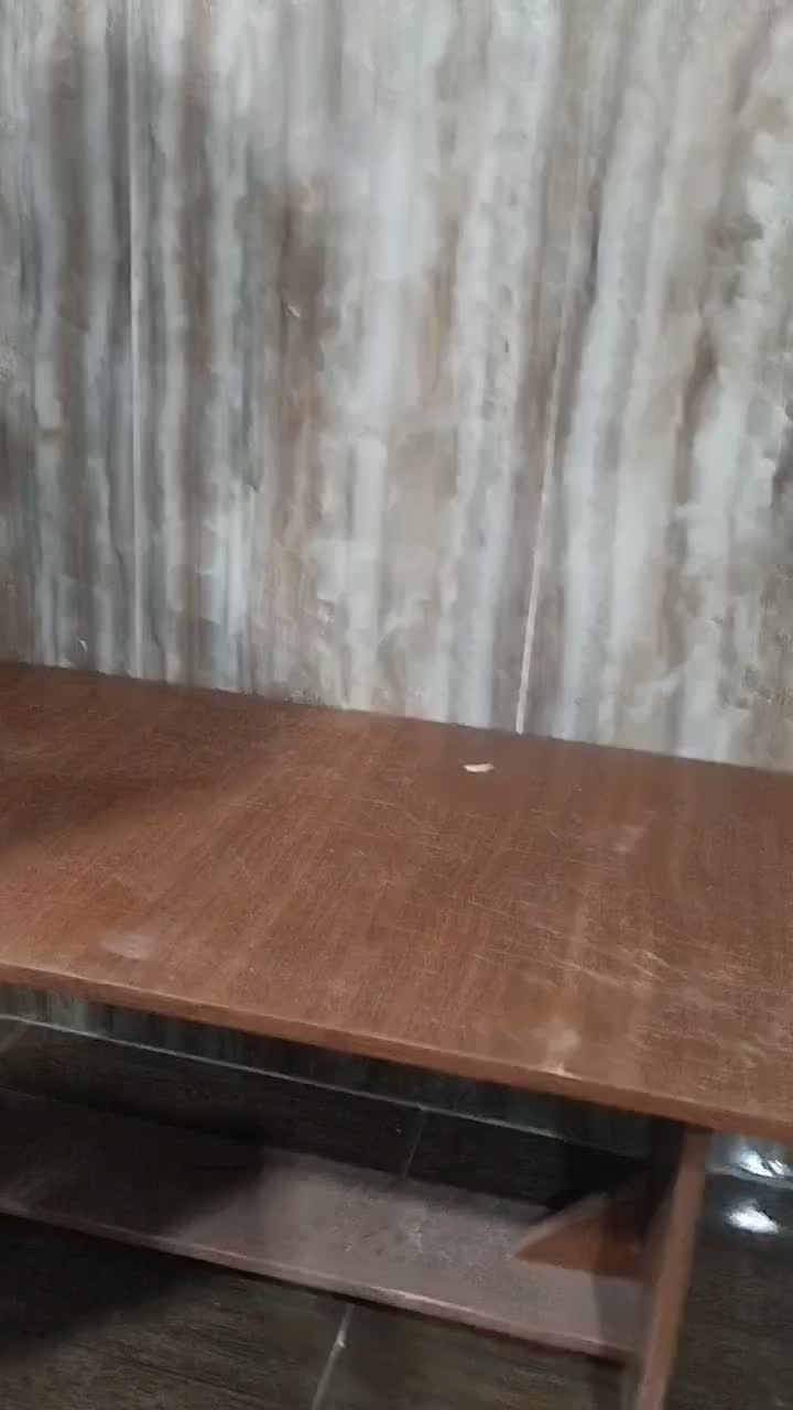 کبوتر پشتی ماده کاکلی المانی|پرنده|شیراز, سلطان آباد|دیوار