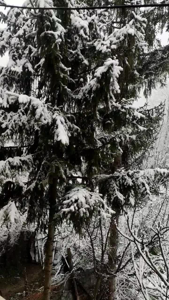 اجاره سوئیت|اجارهٔ کوتاه‌مدت آپارتمان و سوئیت|مرزن‌آباد, |دیوار