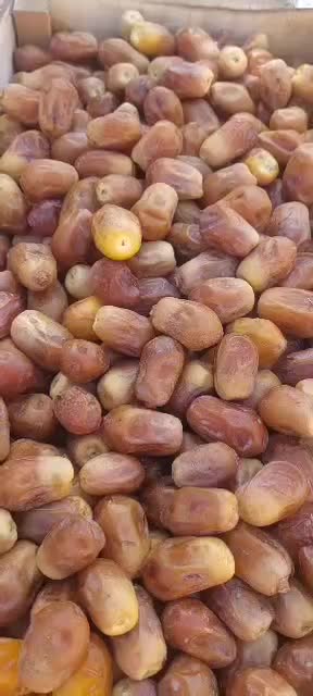 خرما زاهدی|خوردنی و آشامیدنی|اهواز, اسلام آباد شرقی|دیوار