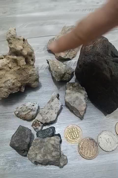 سنگ وسکه|کلکسیون اشیاء عتیقه|مشهد, بهمن|دیوار