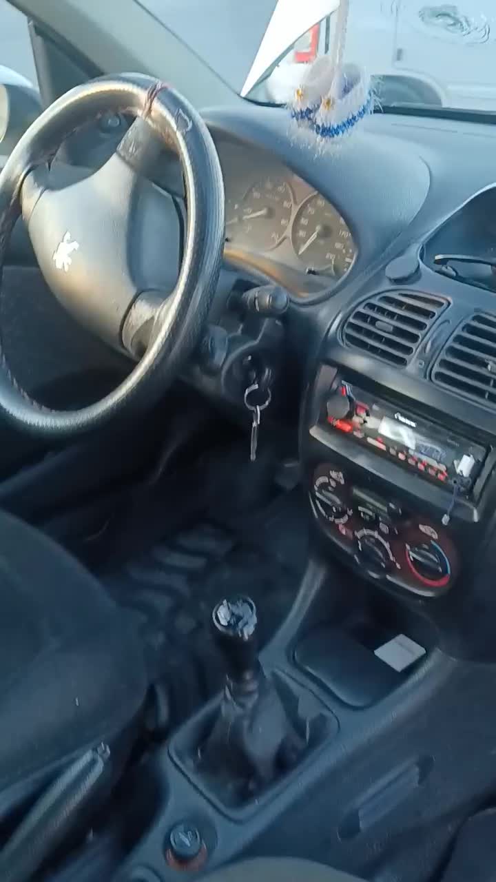 ۲۰۶ تیپ ۲|خودرو سواری و وانت|قروه, |دیوار