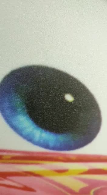 پخش کاغذ دیواری مدل 2025|مصالح و تجهیزات ساختمان|محمدشهر, همایون ویلا|دیوار