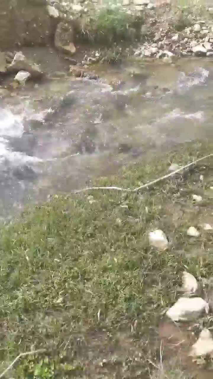 منزل ویلای در افوس|فروش خانه و ویلا|بوئین و میاندشت, |دیوار