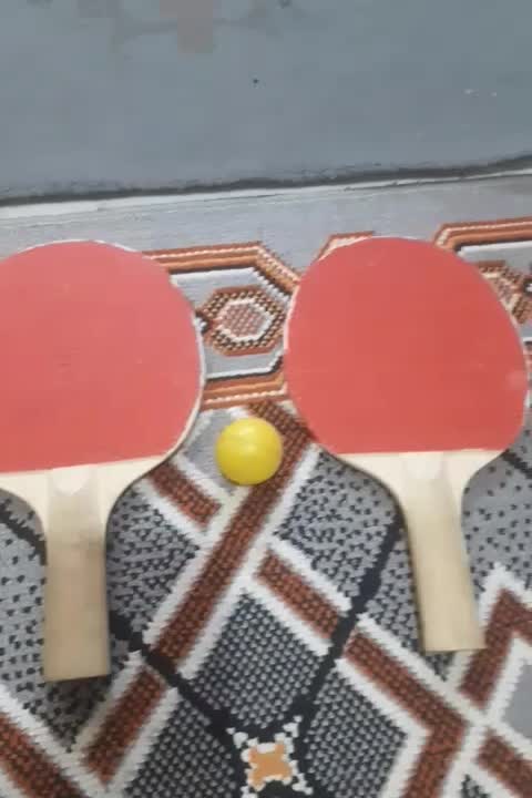 تنیس هست|ورزش‌های توپی|ورامین, ورامین|دیوار