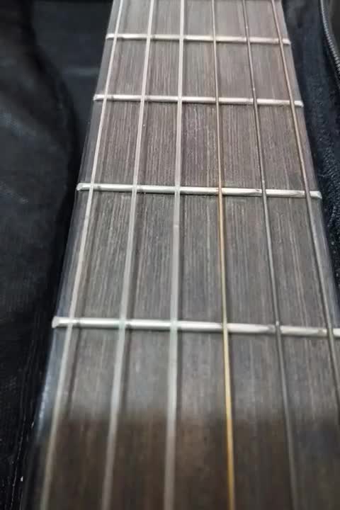 گیتار مناسب مبتدی تا حرفه|گیتار، بیس، امپلیفایر|هشتگرد, شهرک ایران خودرو|دیوار