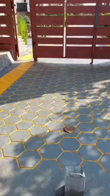 نصب ایزوگام دلیجان|خدمات پیشه و مهارت|صفادشت, |دیوار