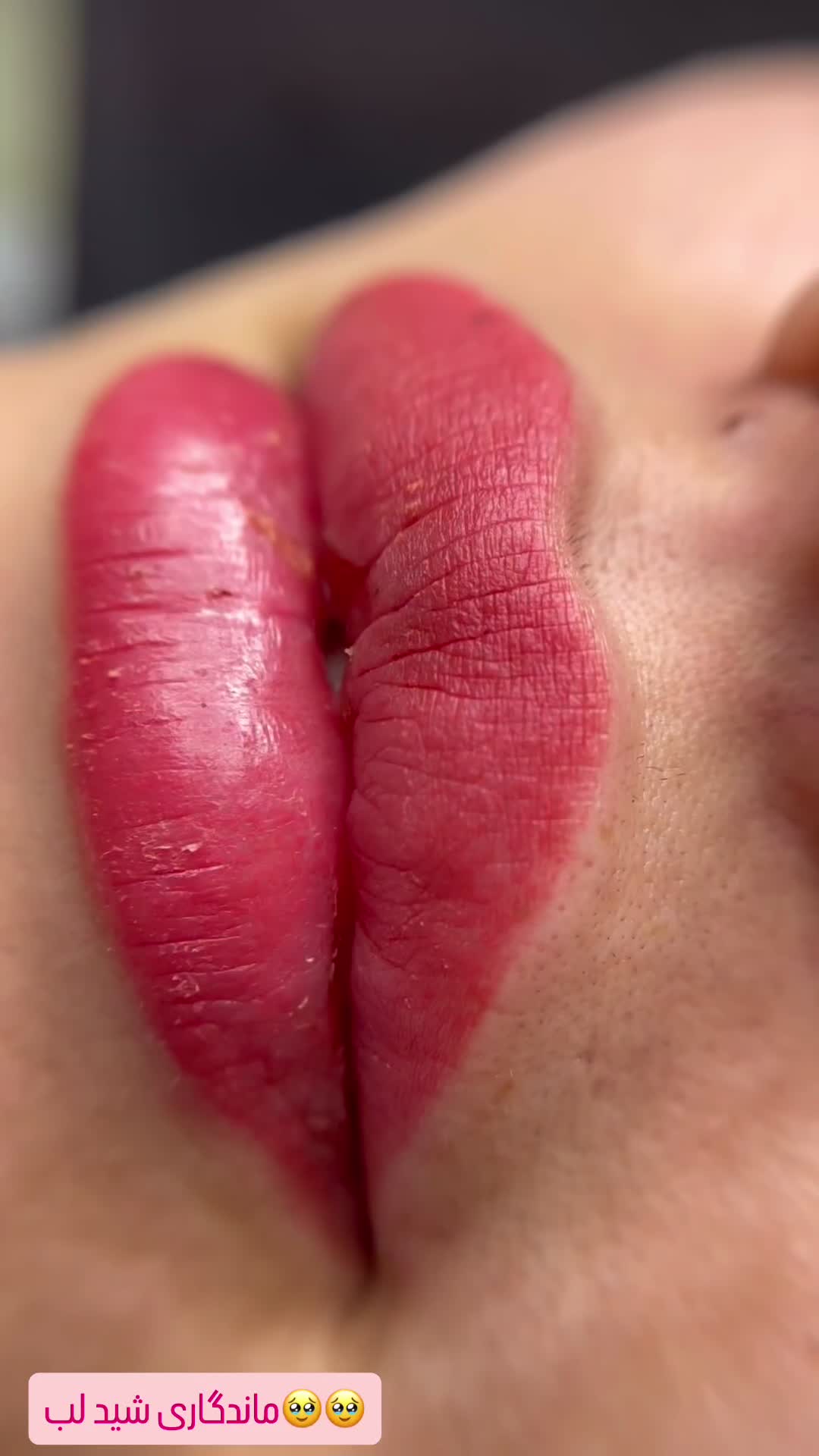 شید لب|خدمات آرایشگری و زیبایی|یزد, |دیوار