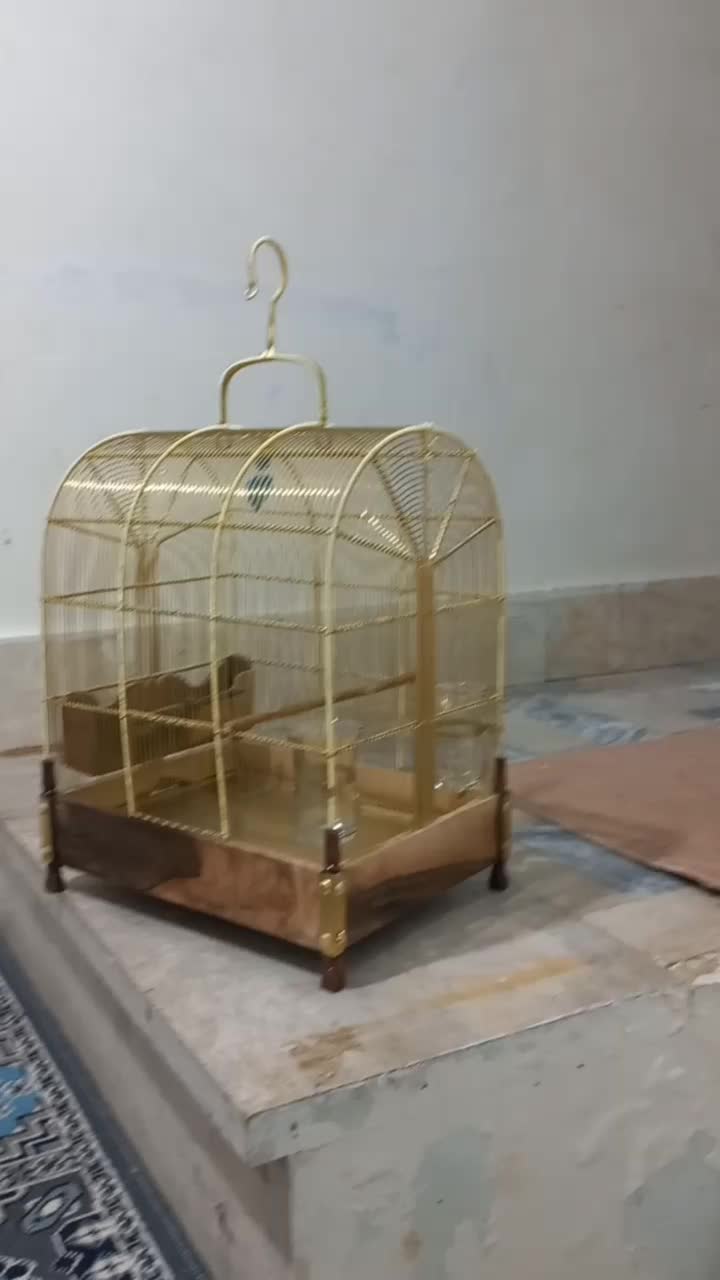 قفس سیره برنجی کار دست دهندار|لوازم جانبی حیوانات|بروجرد, |دیوار
