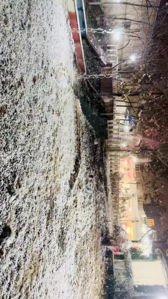 تالار و باغ تالار قصر پردیس|خدمات پذیرایی، مراسم|پردیس, فاز ۶|دیوار