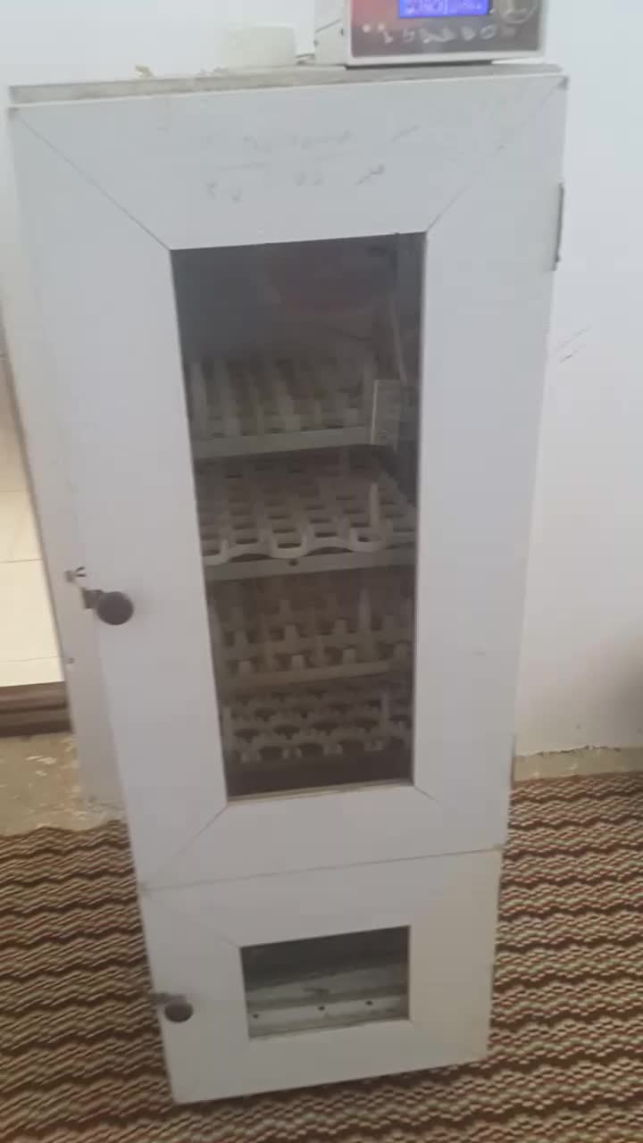 دستگاه جوجه کشی|لوازم جانبی حیوانات|آشخانه, |دیوار