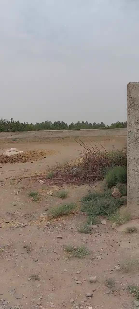 زمین  به متراژ ۴۸۵ متر داخل بافت حلال اباد|فروش زمین و ملک کلنگی|بشاریات, |دیوار