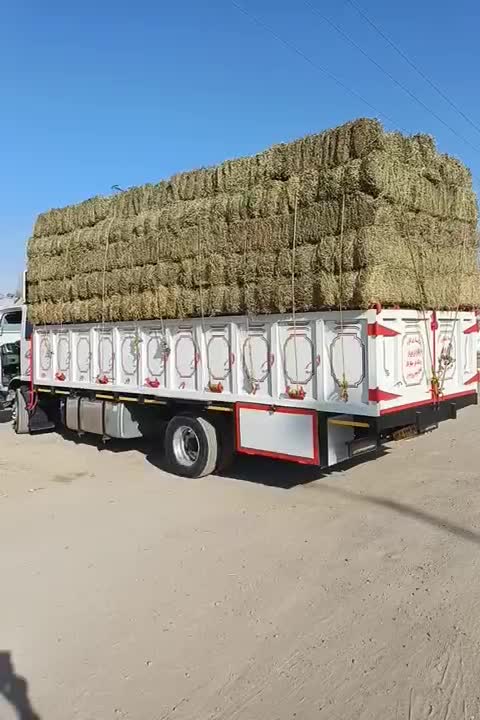 بیده یونجه|عمده‌فروشی|گناباد, |دیوار