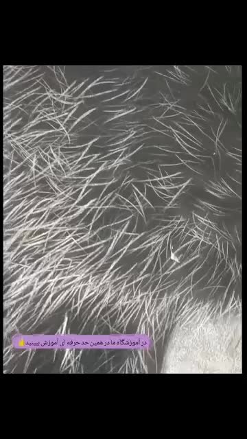 سفارش نقاشی و تدریس|تابلو، نقاشی، عکس|مشهد, هفت تیر (حافظ)|دیوار