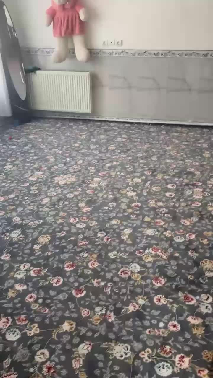 فروش واحد مستقل بر خیابان اصلی|فروش خانه و ویلا|جوانرود, |دیوار