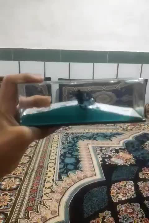 مجسمه|مجسمه، تندیس، ماکت|گرگان, |دیوار