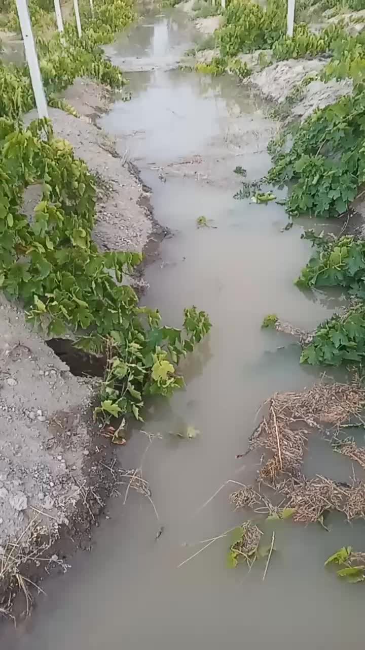 باغ آباد|فروش زمین و ملک کلنگی|مشگین شهر, |دیوار