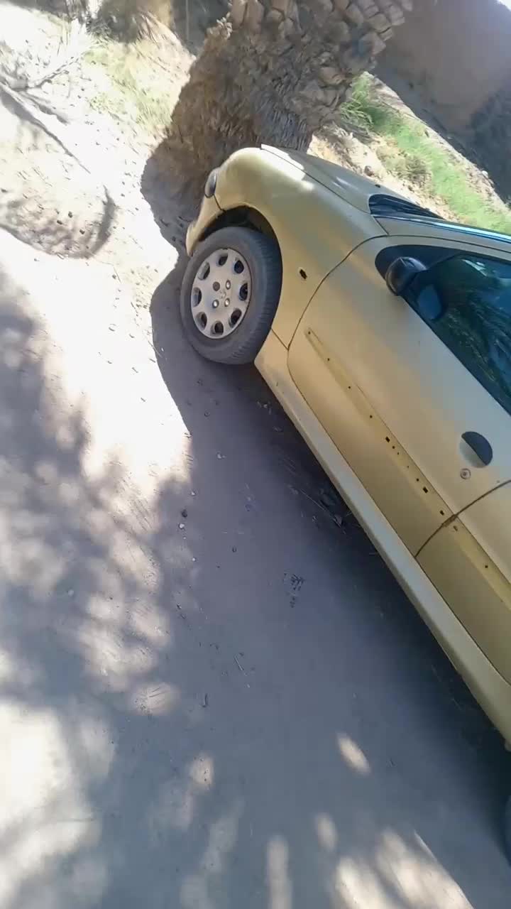 پژو206 معاوضه|خودرو سواری و وانت|رفسنجان, |دیوار