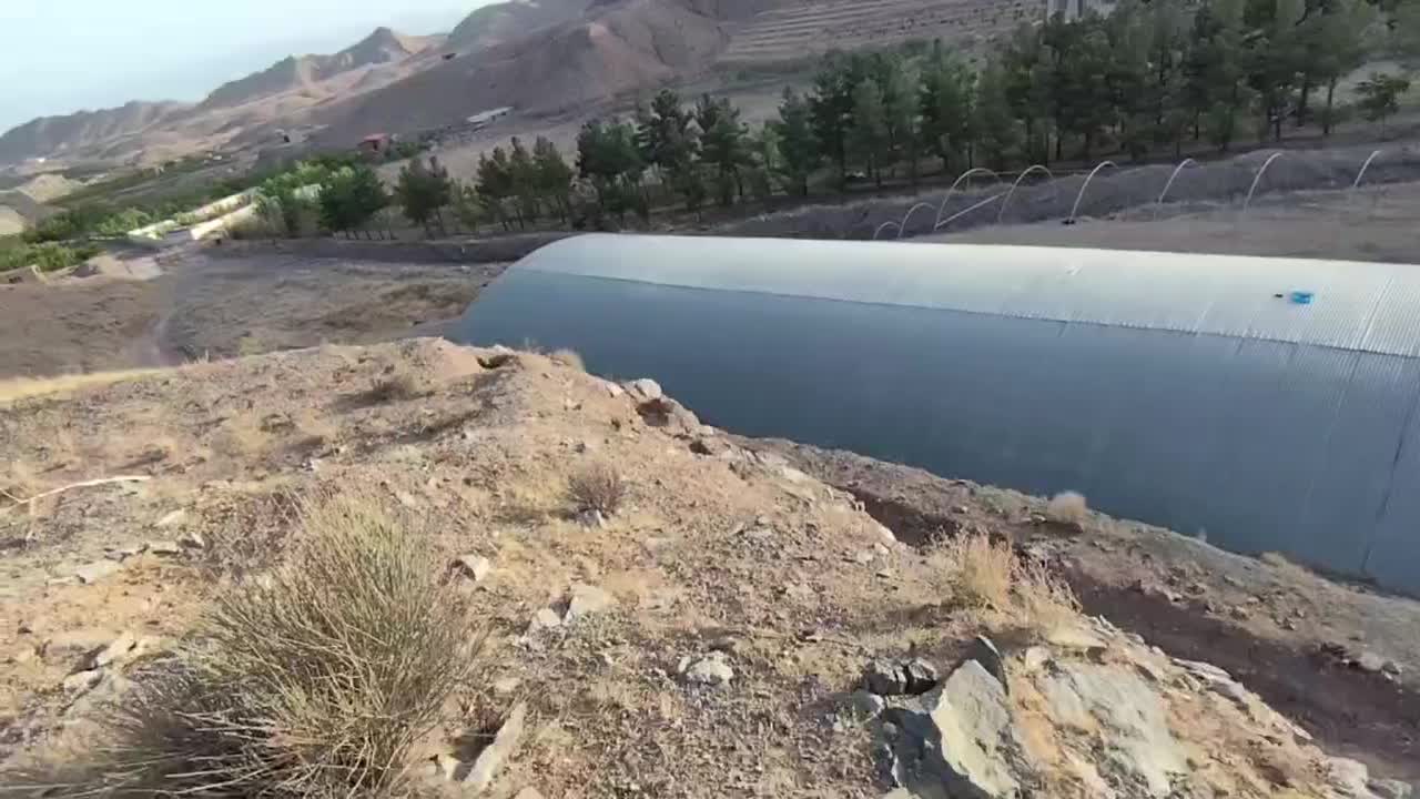 شراکت یا اجاره در مرغداری 50هزاری گوشتی و گلخانه|فروش دفتر صنعتی، کشاورزی، تجاری|بیرجند, |دیوار