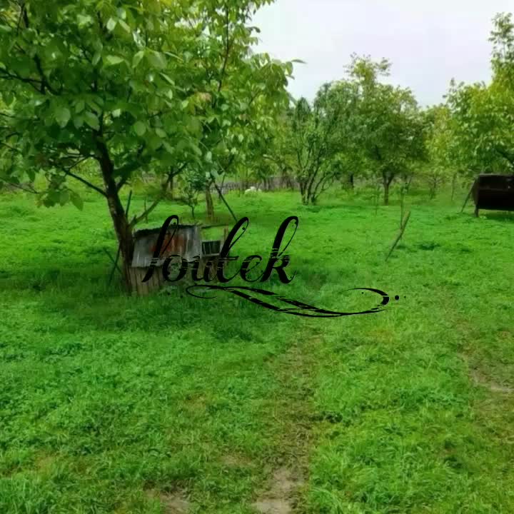 ویلا جنگلی یه خوابه دربست فیلبند چلاو بکر و آرام|اجارهٔ کوتاه‌مدت ویلا و باغ|امامزاده عبدالله, |دیوار