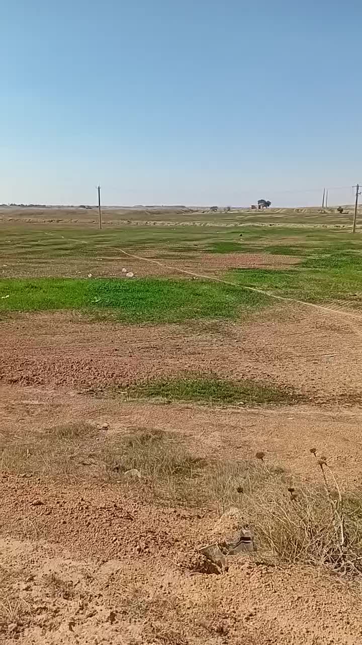 فروش۵۳ هکتار زمین کشاورزی چنانه شوش|فروش دفتر صنعتی، کشاورزی، تجاری|شوش, |دیوار