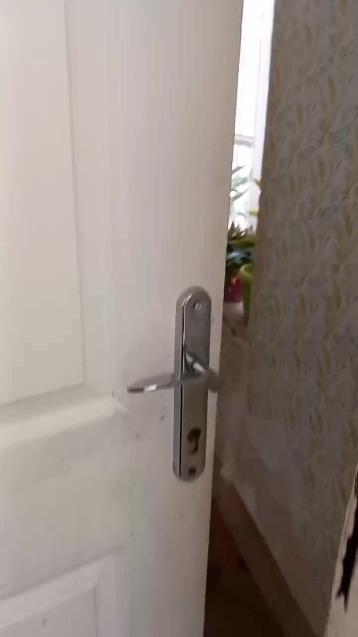 خانه ویلایی فروشی|فروش خانه و ویلا|مشهد, شهرک امام سجاد|دیوار