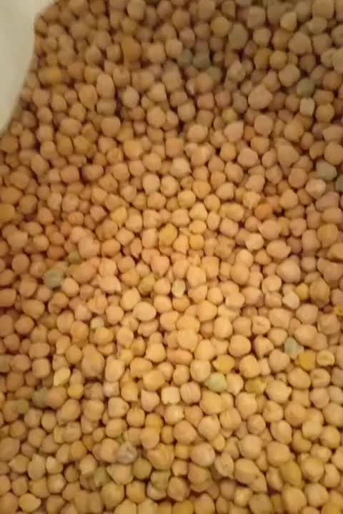 نخود|خوردنی و آشامیدنی|فسا, |دیوار