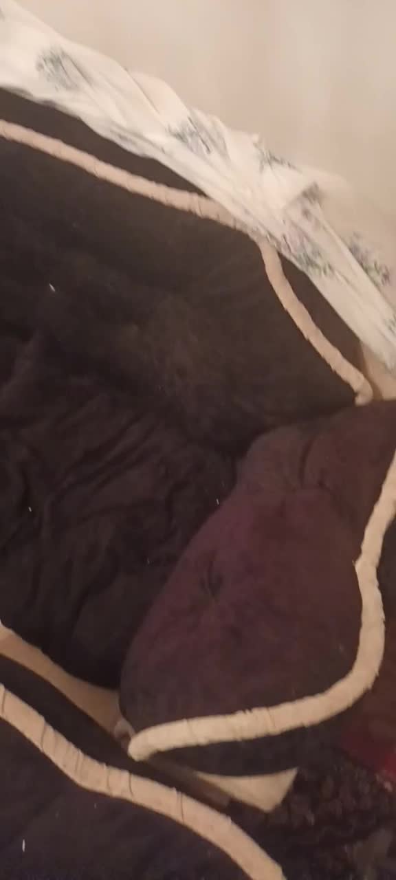 مبل۱۸نفره|مبلمان خانگی و میز عسلی|کیاشهر, |دیوار